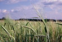 agri