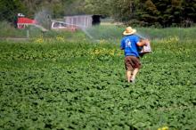 farmer